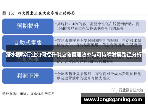 潜水脚蹼行业如何提升供应链管理效率与可持续发展路径分析